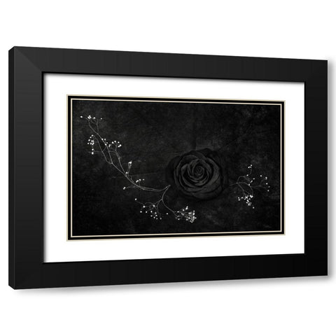 Rose Noire Black Modern Wood Framed Art Print with Double Matting by Clough, Stephen
