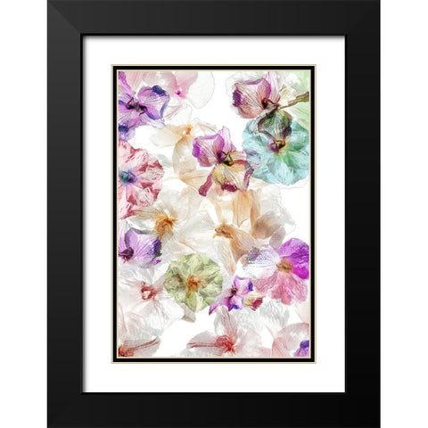 Ghost Orchids Black Modern Wood Framed Art Print with Double Matting by Shumilova, Ludmila