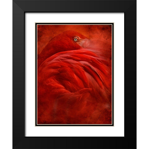 Tropical Black Modern Wood Framed Art Print with Double Matting by Hummel, Jeffrey