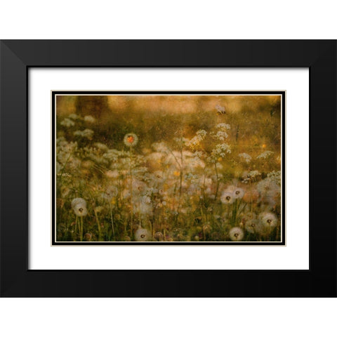 Dandelion Dreams Black Modern Wood Framed Art Print with Double Matting by Devos, Delphine