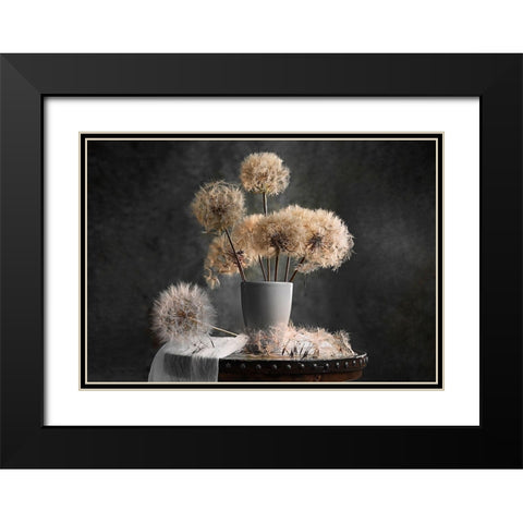 Dandelion Seed Pod Black Modern Wood Framed Art Print with Double Matting by Jacobs, Lydia