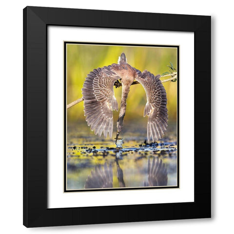 Azulada Pescando Black Modern Wood Framed Art Print with Double Matting by Ruggeri, Andres
