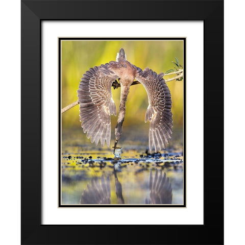 Azulada Pescando Black Modern Wood Framed Art Print with Double Matting by Ruggeri, Andres