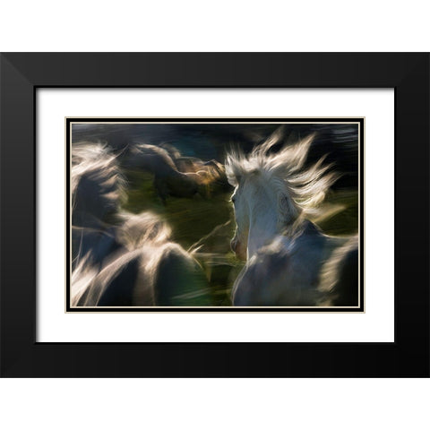 Esata Equina Black Modern Wood Framed Art Print with Double Matting by Malovrh, Milan