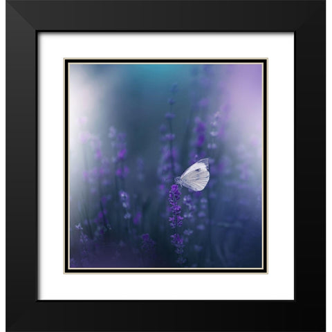 Lavender Queen... Black Modern Wood Framed Art Print with Double Matting by Nan, Juliana