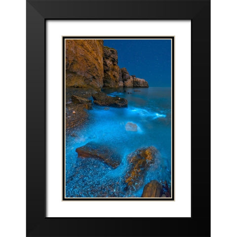 Bioluminescent Bay Black Modern Wood Framed Art Print with Double Matting by Zhu, Hua