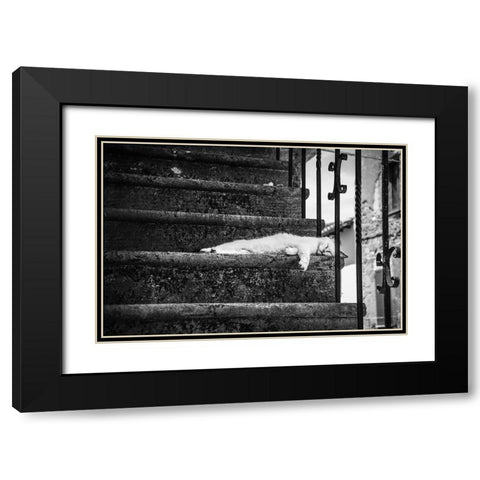 Slow Life Black Modern Wood Framed Art Print with Double Matting by Polo, Piera