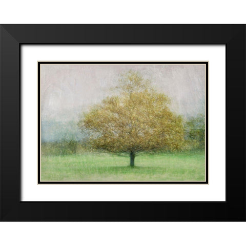 Solitaire Black Modern Wood Framed Art Print with Double Matting by Holmstrom, Katarina