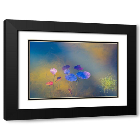 Water Life Black Modern Wood Framed Art Print with Double Matting by De Laat, Bernardine