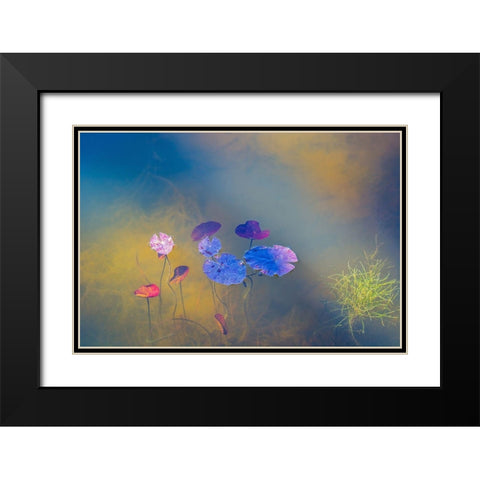 Water Life Black Modern Wood Framed Art Print with Double Matting by De Laat, Bernardine