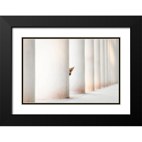 Bella - And The Pillars Of The Earth... Black Modern Wood Framed Art Print with Double Matting by Willers, Heike