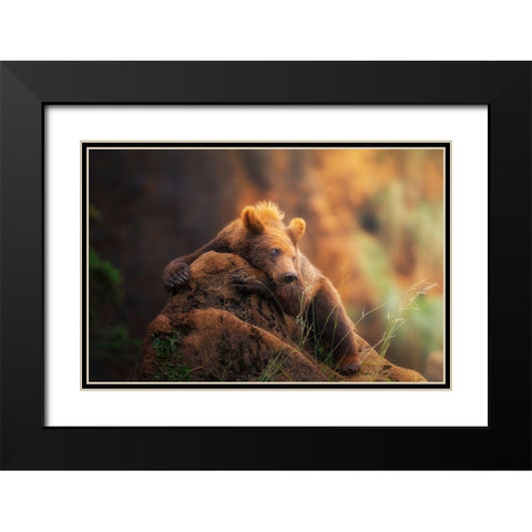 Bear Portrait Black Modern Wood Framed Art Print with Double Matting by Saavedra Ruiz, Sergio