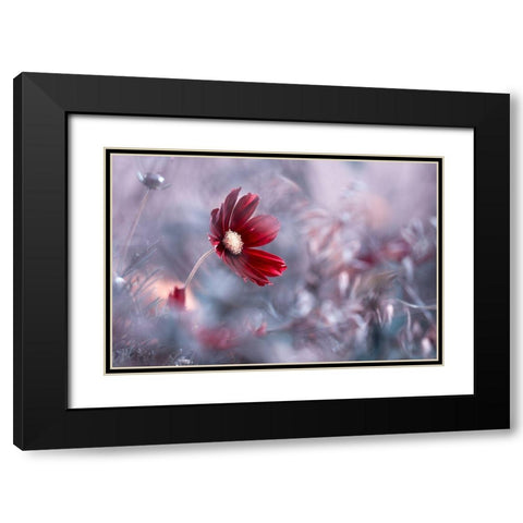 Carmen Black Modern Wood Framed Art Print with Double Matting by Bravin, Fabien