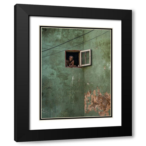 Green Facade Black Modern Wood Framed Art Print with Double Matting by Bauer, Andreas