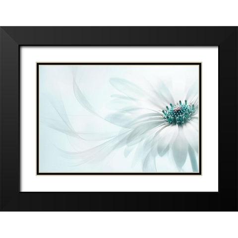 Purity Black Modern Wood Framed Art Print with Double Matting by Parker, Jacky