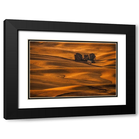 Golden Field Black Modern Wood Framed Art Print with Double Matting by Jacobs, Lydia