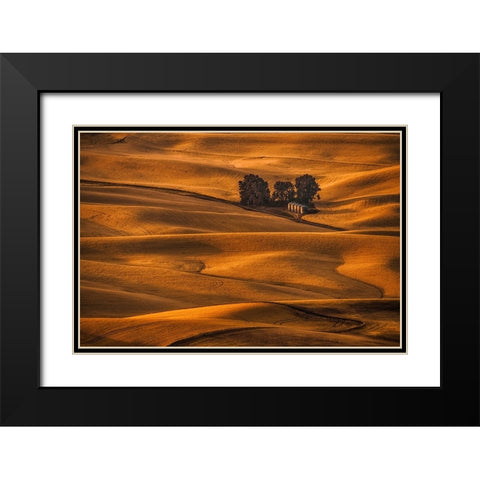Golden Field Black Modern Wood Framed Art Print with Double Matting by Jacobs, Lydia