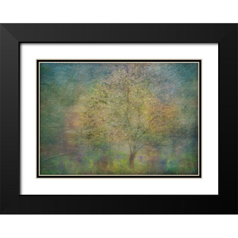 Impressions Of A Tree Black Modern Wood Framed Art Print with Double Matting by Holmstrom, Katarina