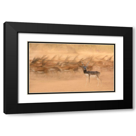 Black Bucks Black Modern Wood Framed Art Print with Double Matting by Nayyer Reza, Sayyed