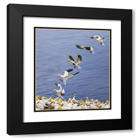 Back Home.... Black Modern Wood Framed Art Print with Double Matting by Jiang, Yi