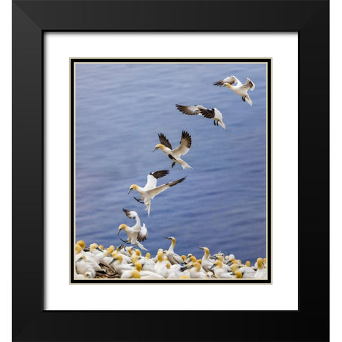 Back Home.... Black Modern Wood Framed Art Print with Double Matting by Jiang, Yi