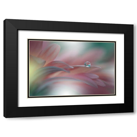 Sunbeam..Ii Black Modern Wood Framed Art Print with Double Matting by Nan, Juliana