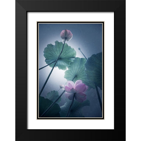 Lotus Black Modern Wood Framed Art Print with Double Matting by Shanyewuyu
