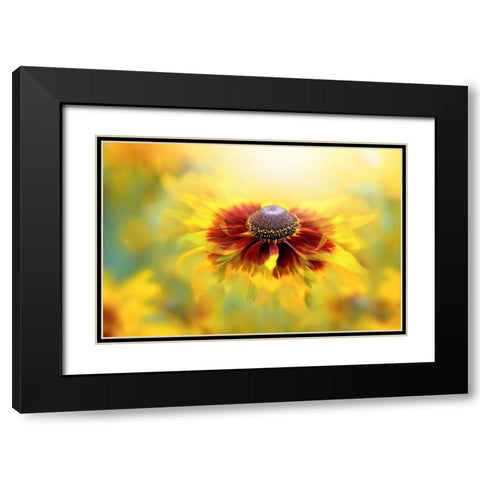 Autumn Glow Black Modern Wood Framed Art Print with Double Matting by Parker, Jacky