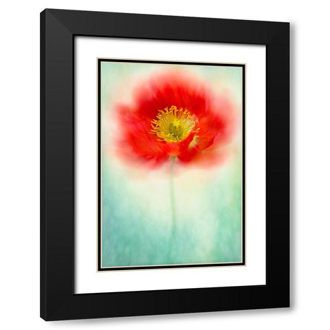 Sprite Black Modern Wood Framed Art Print with Double Matting by Parker, Jacky