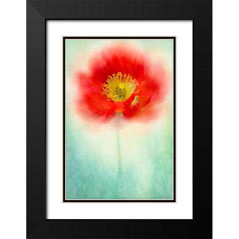 Sprite Black Modern Wood Framed Art Print with Double Matting by Parker, Jacky