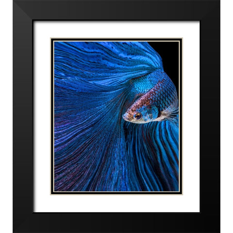 Blue Moon Black Modern Wood Framed Art Print with Double Matting by Halil, Andi