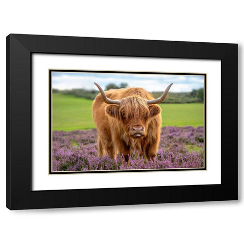 Highland Black Modern Wood Framed Art Print with Double Matting by Parker, Jacky