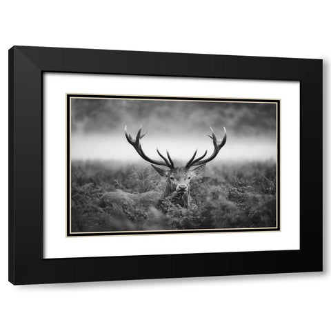 Vvv Black Modern Wood Framed Art Print with Double Matting by Fabrowski, Robert