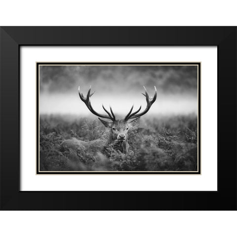 Vvv Black Modern Wood Framed Art Print with Double Matting by Fabrowski, Robert