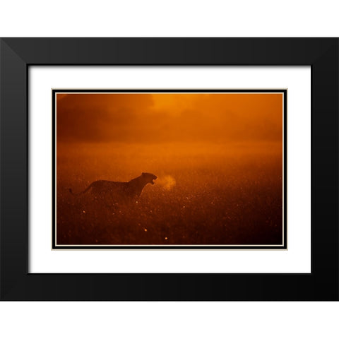 Puff Black Modern Wood Framed Art Print with Double Matting by Alnaser, Mohammed