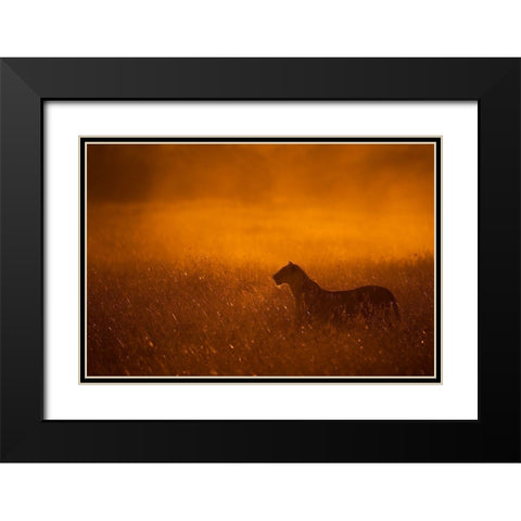 Gold Dust Black Modern Wood Framed Art Print with Double Matting by Alnaser, Mohammed
