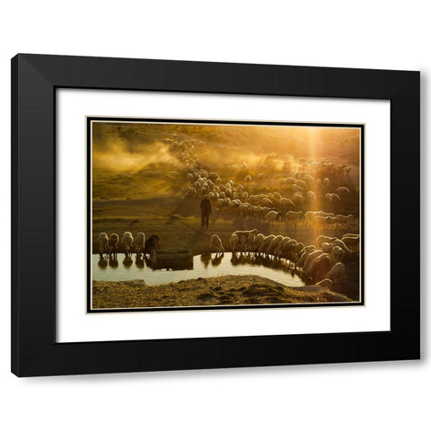 Shepherd Black Modern Wood Framed Art Print with Double Matting by Tunc, Feyzullah