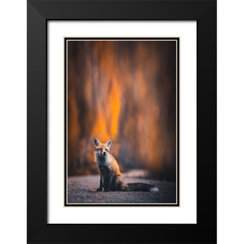Fox Black Modern Wood Framed Art Print with Double Matting by Tianqi