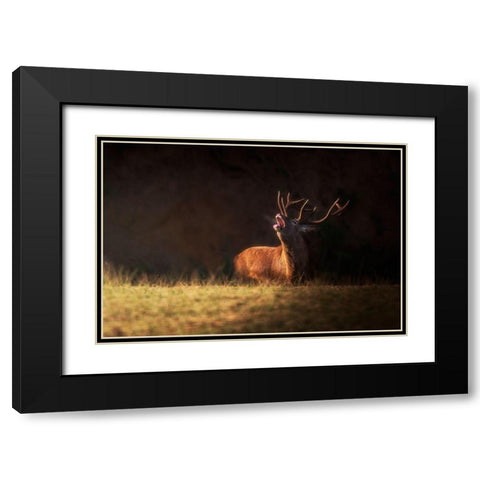 The Deers Zeal Black Modern Wood Framed Art Print with Double Matting by Saavedra Ruiz, Sergio
