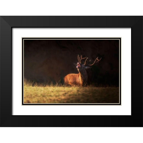 The Deers Zeal Black Modern Wood Framed Art Print with Double Matting by Saavedra Ruiz, Sergio