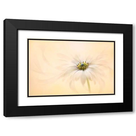 Melody Black Modern Wood Framed Art Print with Double Matting by Parker, Jacky