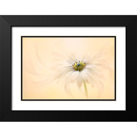 Melody Black Modern Wood Framed Art Print with Double Matting by Parker, Jacky