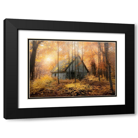 House In The Forest During Fallseason Black Modern Wood Framed Art Print with Double Matting by Lindsten, Christian