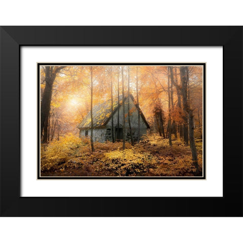 House In The Forest During Fallseason Black Modern Wood Framed Art Print with Double Matting by Lindsten, Christian