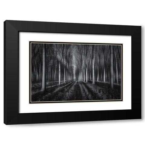 Into The Forest Black Modern Wood Framed Art Print with Double Matting by Zhu, Jingshu