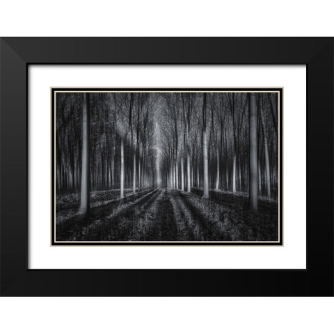 Into The Forest Black Modern Wood Framed Art Print with Double Matting by Zhu, Jingshu