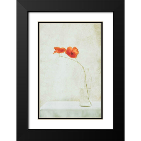 Two Poppies In A Bottle Black Modern Wood Framed Art Print with Double Matting by Devos, Delphine