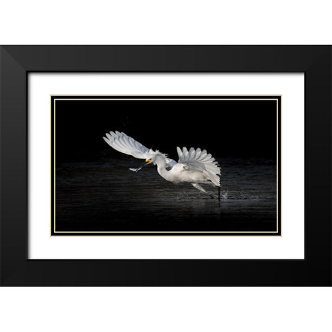 Flying Catch 2 Black Modern Wood Framed Art Print with Double Matting by Zhang, Jack