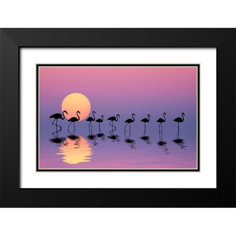 Family Flamingos Black Modern Wood Framed Art Print with Double Matting by Hamiti, Bess