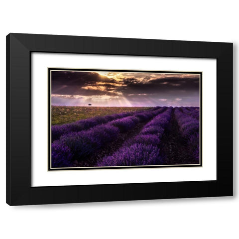 Between Flowers Black Modern Wood Framed Art Print with Double Matting by Concepcion Alvarado, Jesus